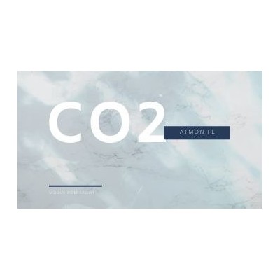 Atmon FL moduł pomiarowy dwutlenku węgla CO2